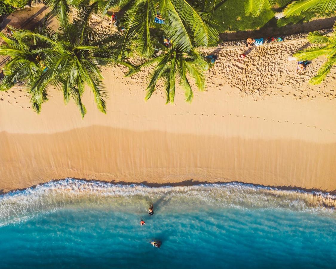 Imagine972 Martinique Bateau Hotel A Quai Le Marin 3 Cabines 3 Salles De Bains 6 Pers Maxi 外观 照片
