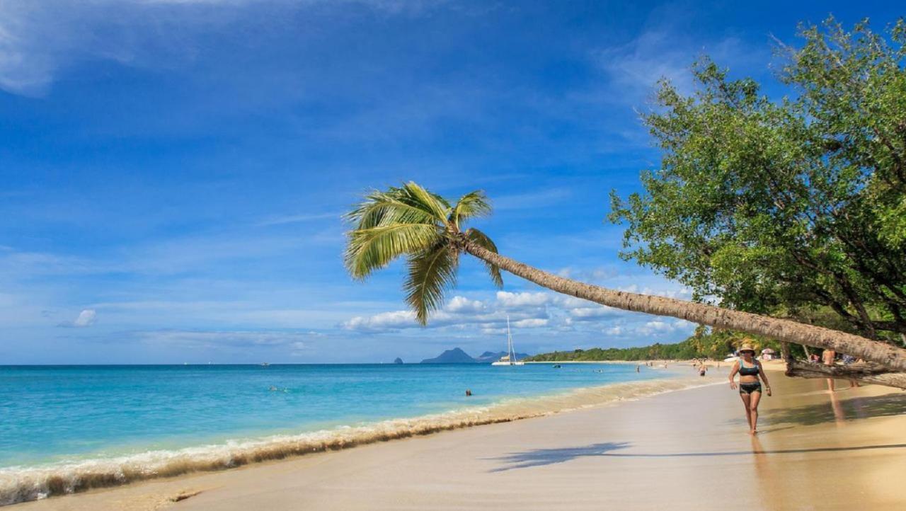 Imagine972 Martinique Bateau Hotel A Quai Le Marin 3 Cabines 3 Salles De Bains 6 Pers Maxi 外观 照片