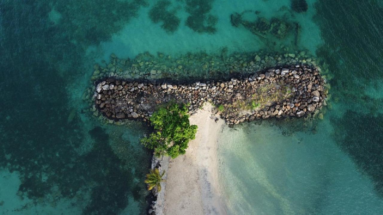 Imagine972 Martinique Bateau Hotel A Quai Le Marin 3 Cabines 3 Salles De Bains 6 Pers Maxi 外观 照片