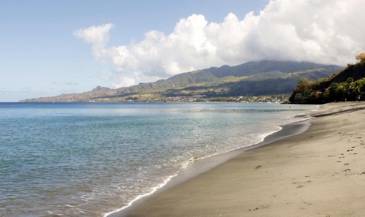 Imagine972 Martinique Bateau Hotel A Quai Le Marin 3 Cabines 3 Salles De Bains 6 Pers Maxi 外观 照片